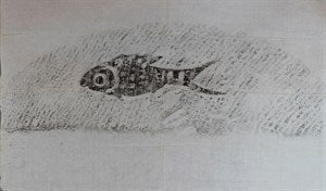 Image description is not available for FIM2015.91